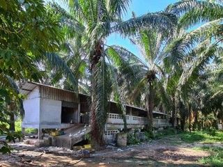 For sale 1 bed house in Phrom Khiri, Nakhon Si Thammarat