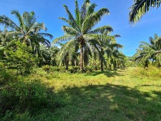For sale 1 bed house in Phrom Khiri, Nakhon Si Thammarat