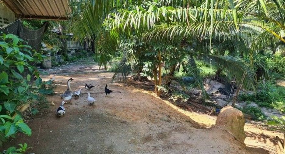 For sale 1 Beds house in Phrom Khiri, Nakhon Si Thammarat