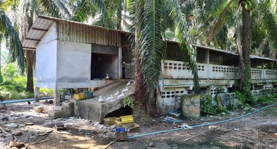 For sale 1 Beds house in Phrom Khiri, Nakhon Si Thammarat