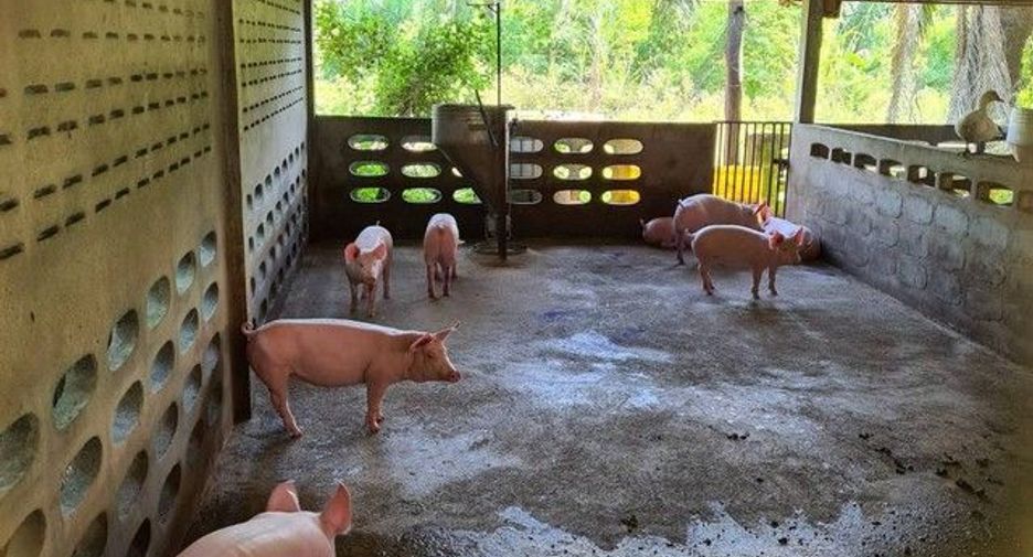 For sale 1 Beds house in Phrom Khiri, Nakhon Si Thammarat
