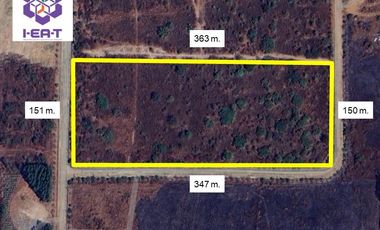 For sale land in Kabin Buri, Prachin Buri