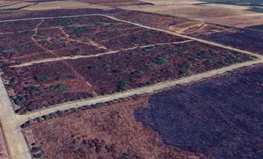 For sale land in Kabin Buri, Prachin Buri