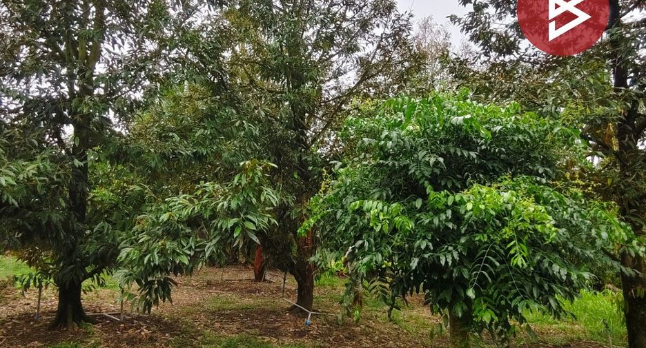 For sale land in Tha Mai, Chanthaburi