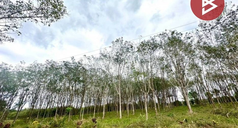 Grundstück zum Kauf in Makham, Chanthaburi