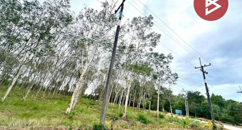 Grundstück zum Kauf in Makham, Chanthaburi