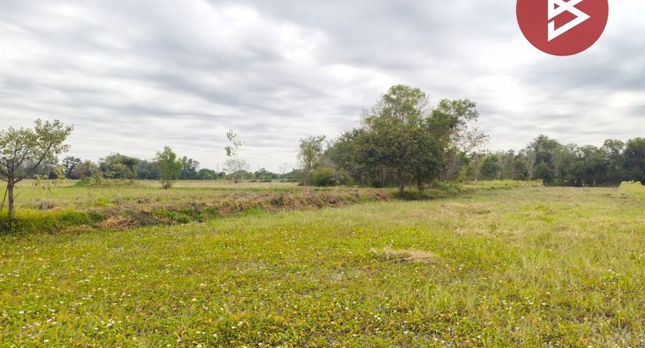 For sale land in Mueang Surin, Surin