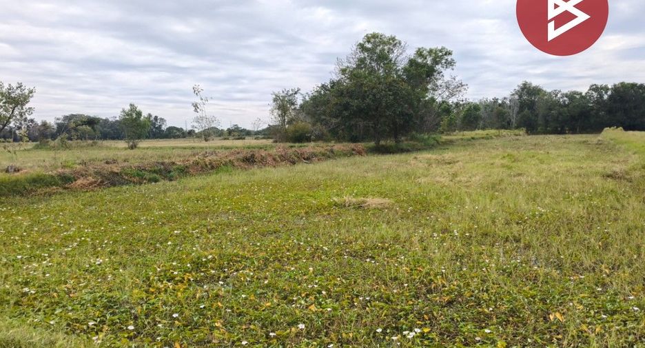 For sale land in Mueang Surin, Surin