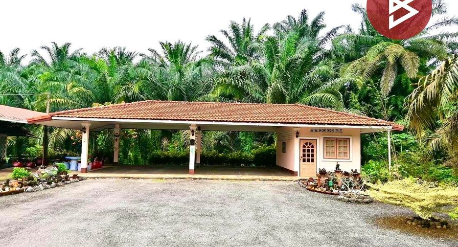 For sale land in Tha Sae, Chumphon