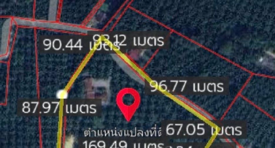 For sale land in Tha Sae, Chumphon