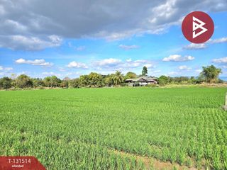 ขาย ที่ดิน ใน ปากพลี, นครนายก
