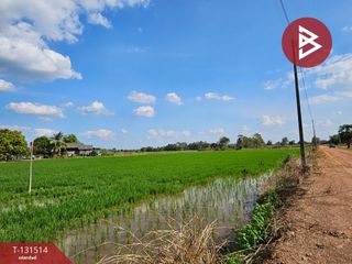 ขาย ที่ดิน ใน ปากพลี, นครนายก