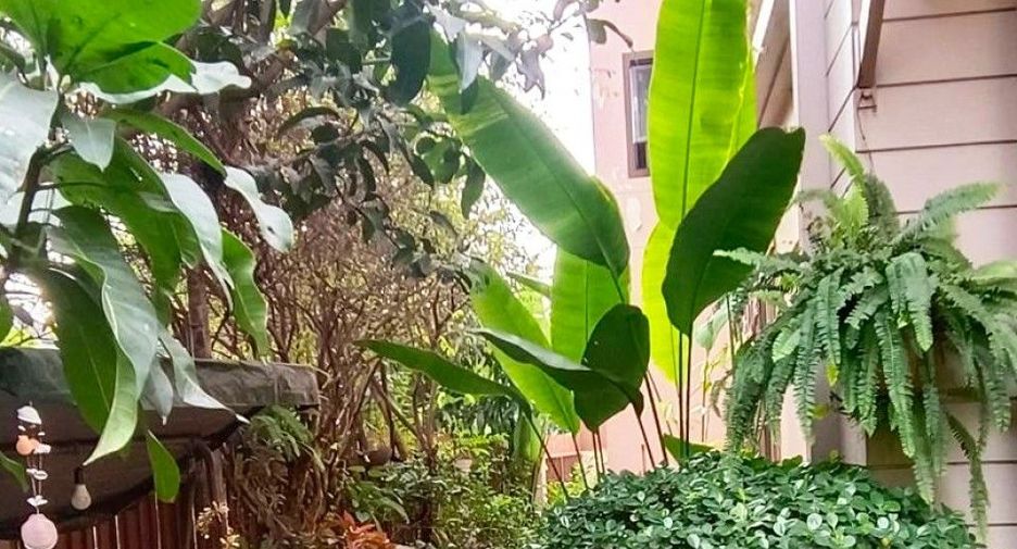 For sale 3 bedrooms house in Khlong Sam Wa, Bangkok