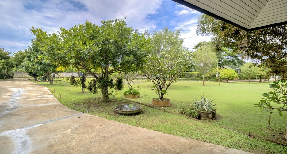 For rent and for sale 3 bedrooms house in Saraphi, Chiang Mai