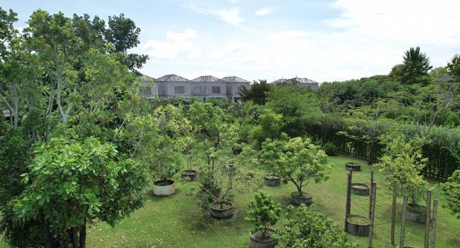 For rent and for sale 3 bedrooms house in Saraphi, Chiang Mai