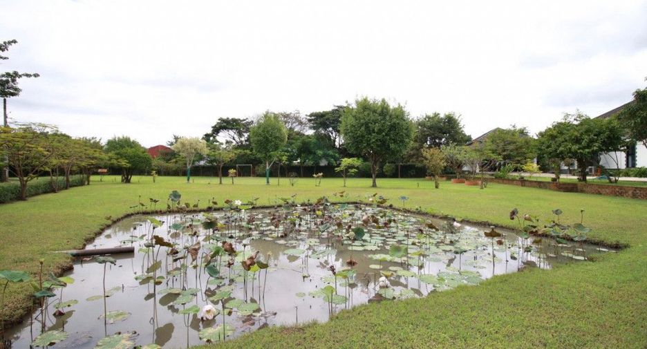 For rent and for sale 3 bedrooms house in Saraphi, Chiang Mai