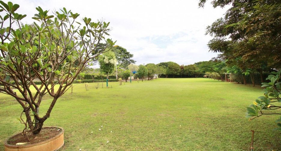 For rent and for sale 3 bedrooms house in Saraphi, Chiang Mai