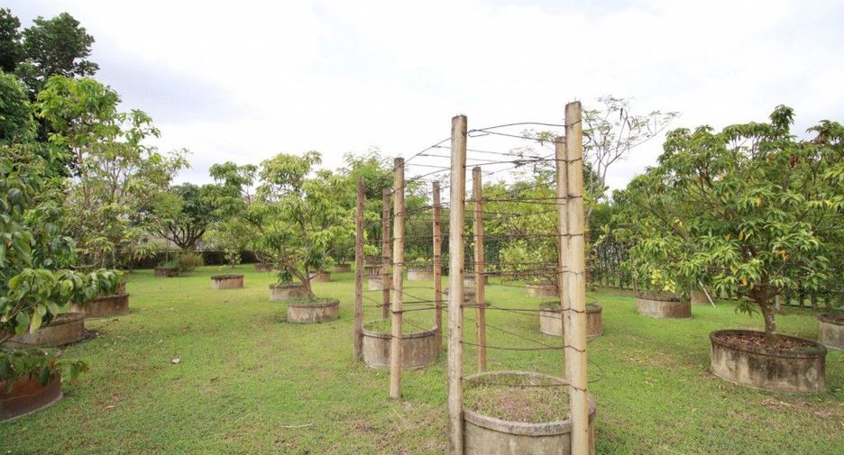 For rent and for sale 3 bedrooms house in Saraphi, Chiang Mai