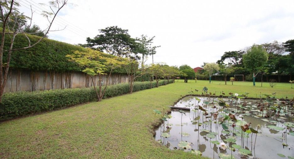For rent and for sale 3 bedrooms house in Saraphi, Chiang Mai