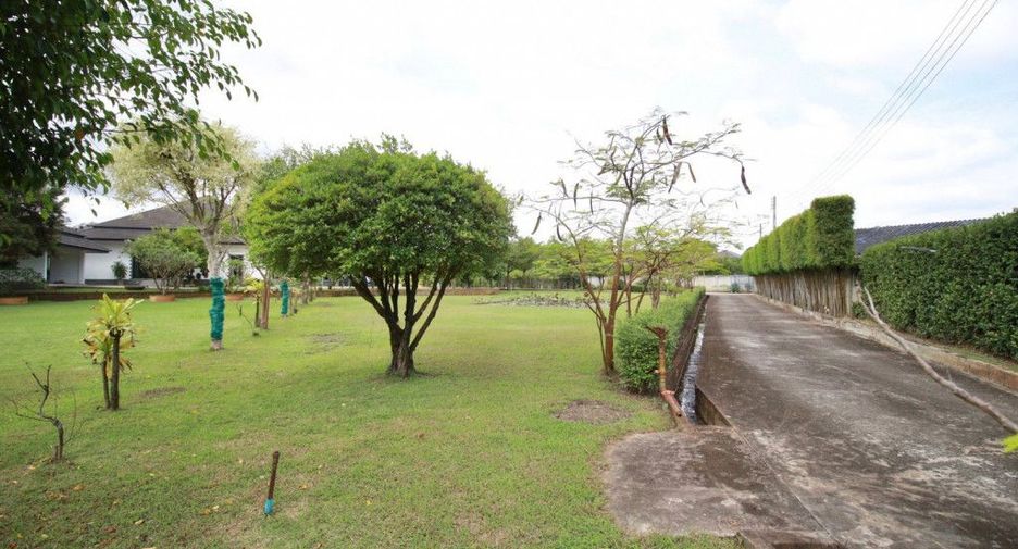 For rent and for sale 3 bedrooms house in Saraphi, Chiang Mai