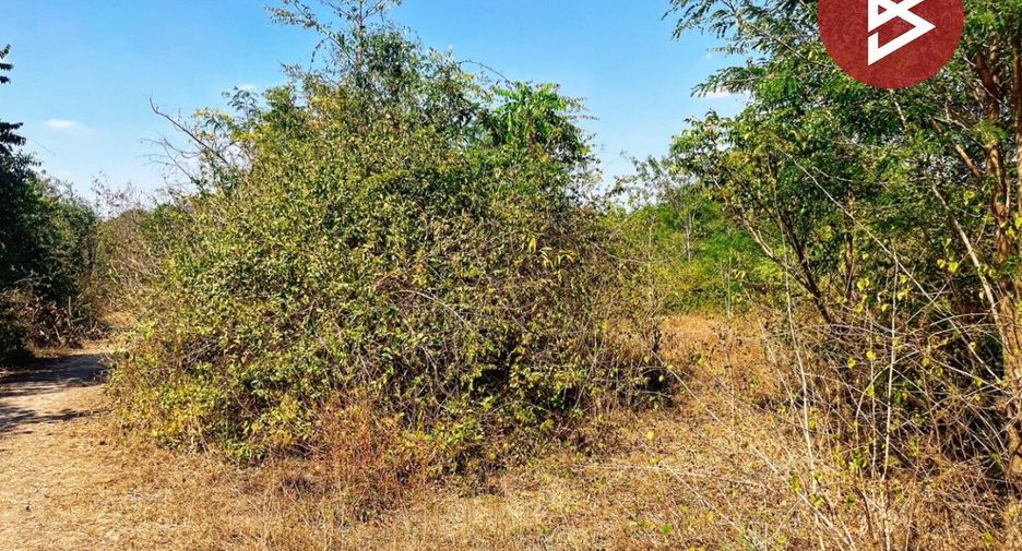 For sale land in Don Chedi, Suphan Buri