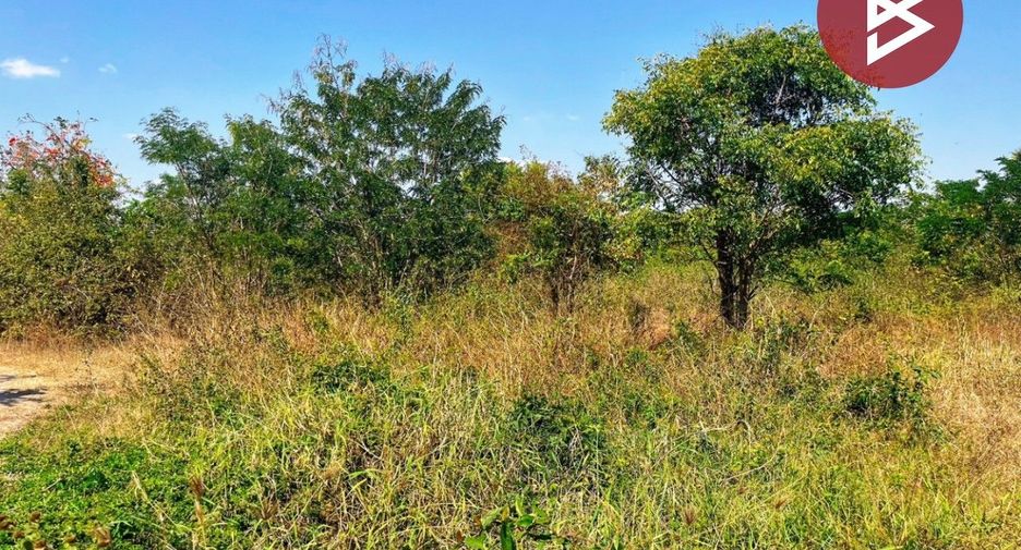 For sale land in Don Chedi, Suphan Buri