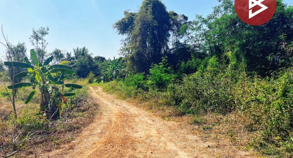 For sale land in Don Chedi, Suphan Buri