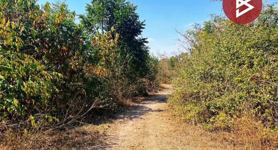 For sale land in Don Chedi, Suphan Buri