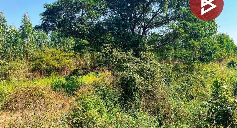 For sale land in Don Chedi, Suphan Buri