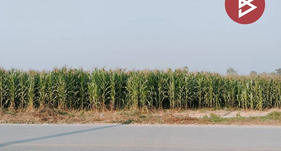 For sale land in Mueang Phitsanulok, Phitsanulok
