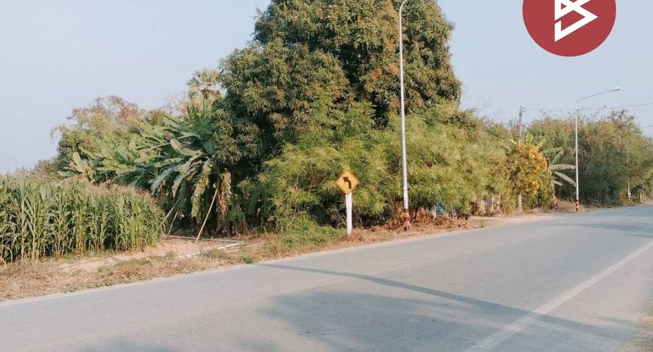 For sale land in Mueang Phitsanulok, Phitsanulok