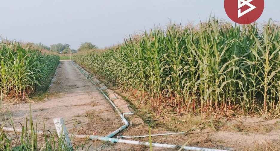 For sale land in Mueang Phitsanulok, Phitsanulok
