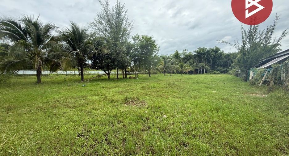 ขาย ที่ดิน ใน สันทราย, เชียงใหม่