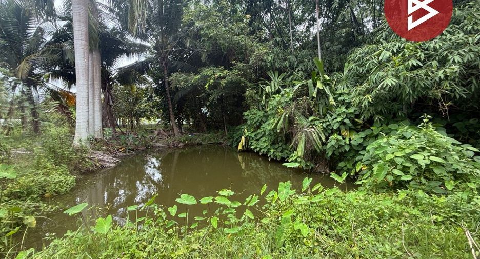 ขาย ที่ดิน ใน สันทราย, เชียงใหม่