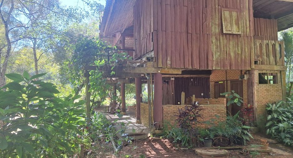 ขาย ที่ดิน ใน เชียงดาว, เชียงใหม่