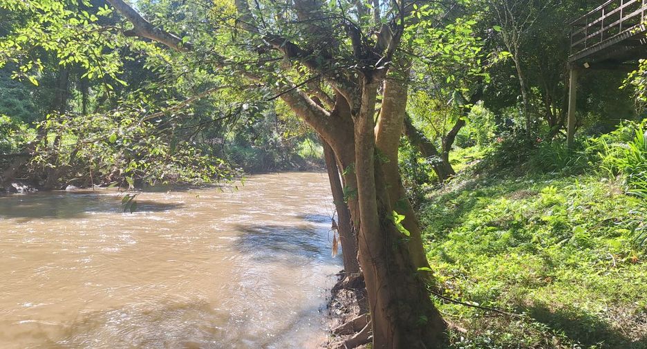 ขาย ที่ดิน ใน เชียงดาว, เชียงใหม่