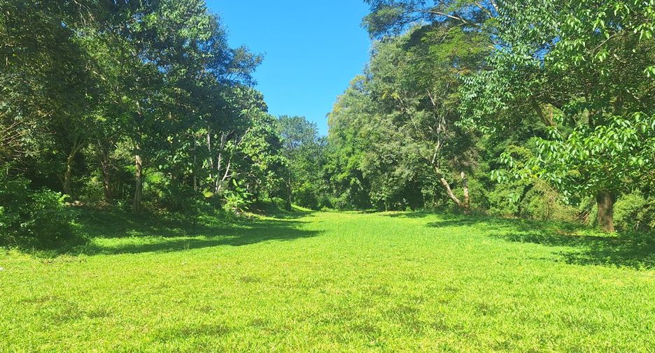 ขาย ที่ดิน ใน เชียงดาว, เชียงใหม่