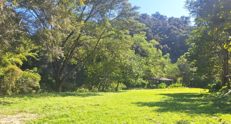 ขาย ที่ดิน ใน เชียงดาว, เชียงใหม่