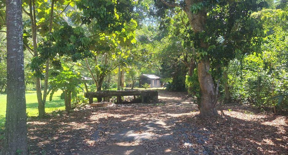 ขาย ที่ดิน ใน เชียงดาว, เชียงใหม่