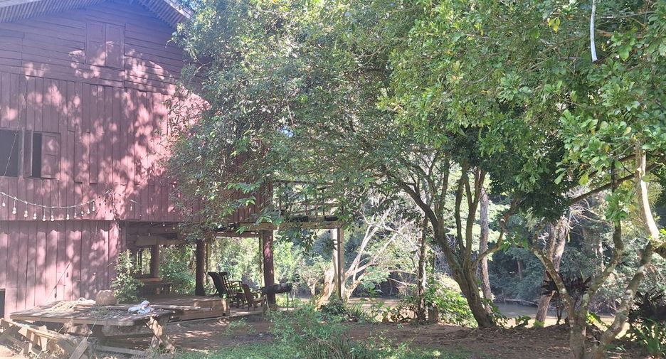 ขาย ที่ดิน ใน เชียงดาว, เชียงใหม่