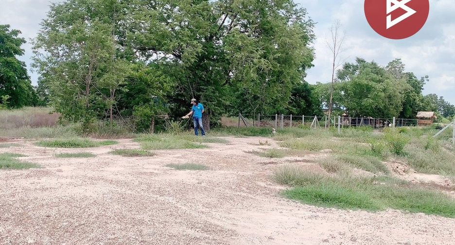 For sale land in Don Chedi, Suphan Buri
