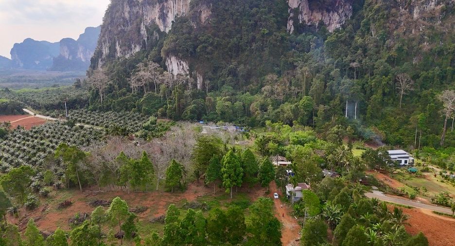ขาย ที่ดิน ใน เมืองกระบี่, กระบี่