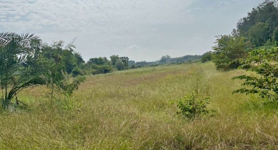 For sale land in Bang Ban, Phra Nakhon Si Ayutthaya