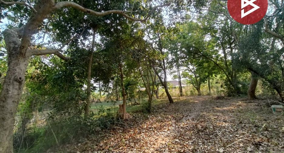 For sale land in Mueang Ratchaburi, Ratchaburi
