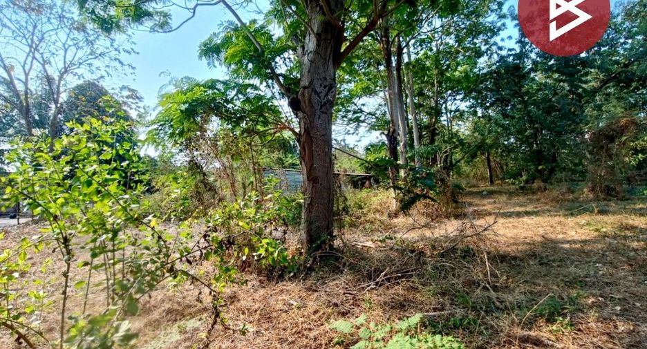 For sale land in Mueang Ratchaburi, Ratchaburi
