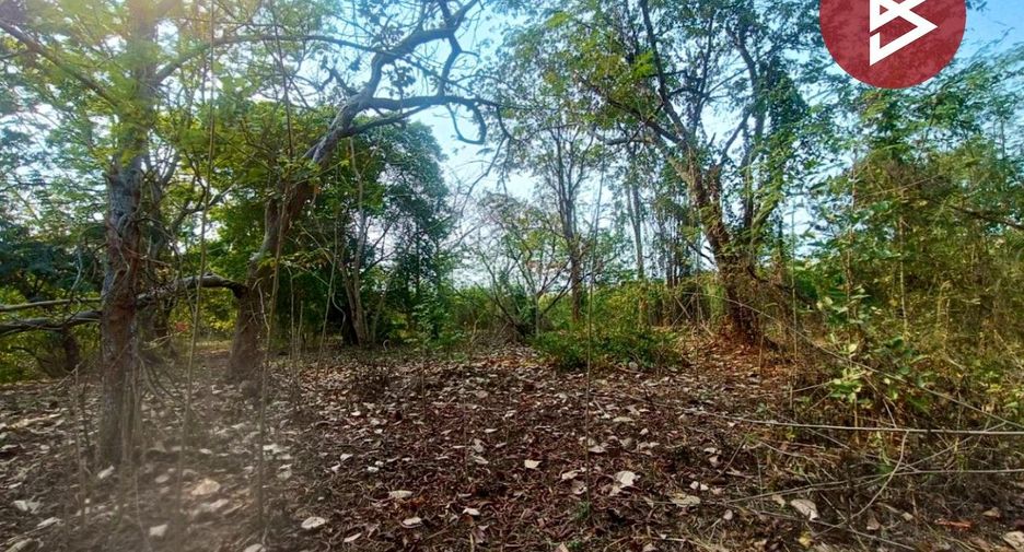 For sale land in Mueang Ratchaburi, Ratchaburi