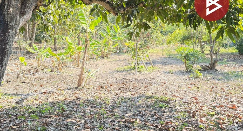 出售 土地 在 Mueang Lamphun, Lamphun