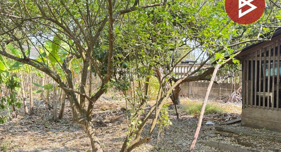 出售 土地 在 Mueang Lamphun, Lamphun