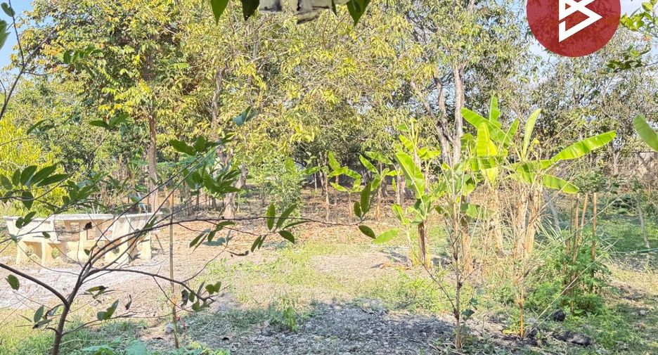 出售 土地 在 Mueang Lamphun, Lamphun