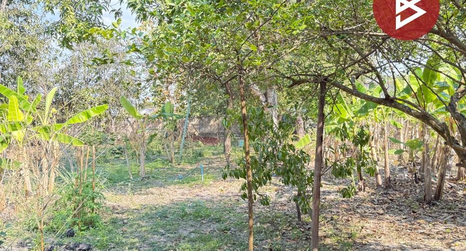 出售 土地 在 Mueang Lamphun, Lamphun